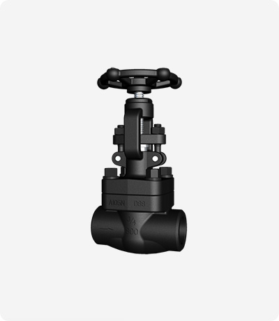 Forged Steel Globe Valve