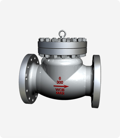 Swing Type Check Valve